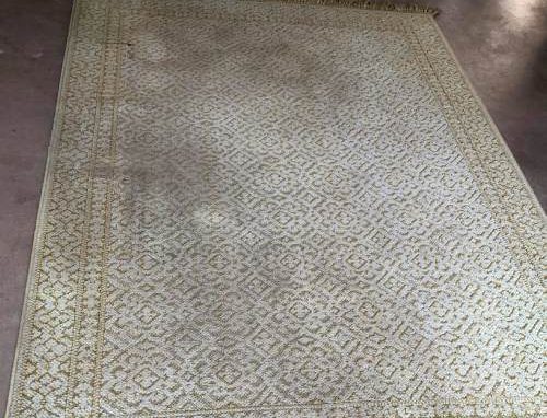 Rug Cleaning of A House Before