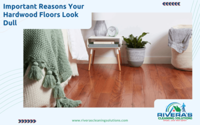 Important Reasons Your Hardwood Floors Look Dull