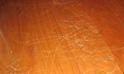 Pets Nail strach on hardwood floor