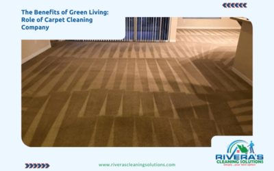 The Benefits of Green Living: Role of Carpet Cleaning Company
