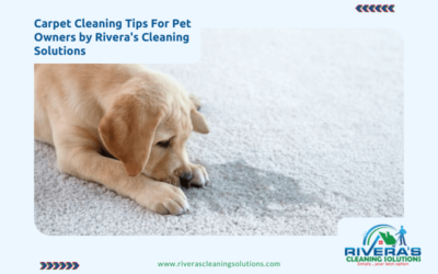 Carpet Cleaning Tips For Pet Owners by Rivera’s Cleaning Solutions