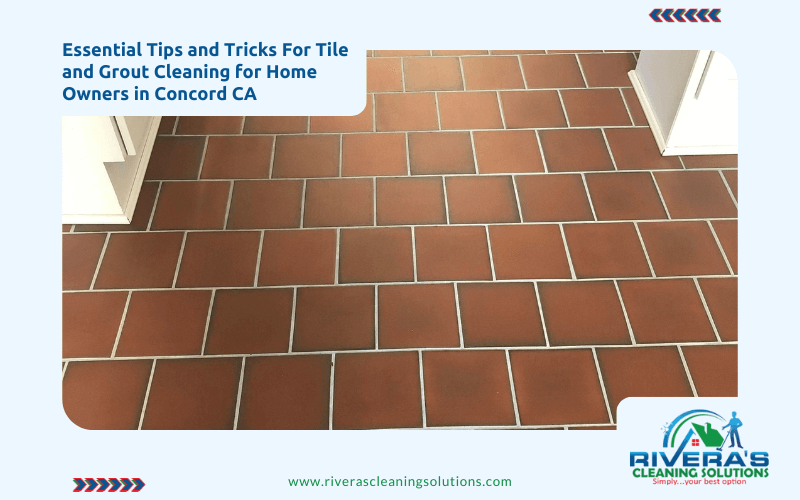 Essential Tips and Tricks For Tile and Grout Cleaning for Home Owners in Concord CA
