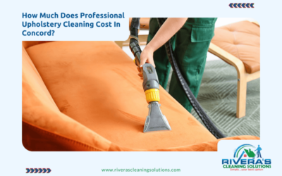How Much Does Professional Upholstery Cleaning Cost In Concord?