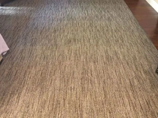 carpet-cleaning-services-after