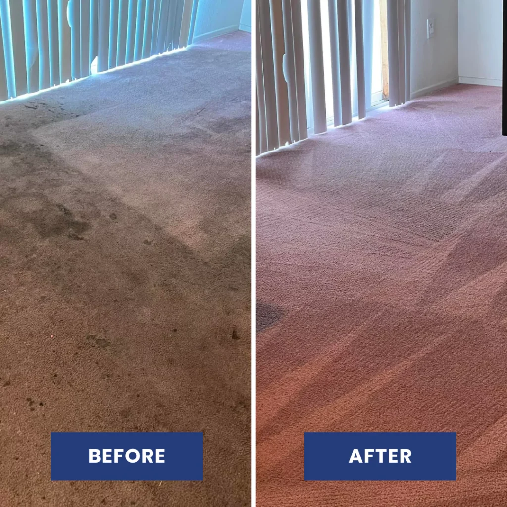 Before and after professional carpet cleaning results 